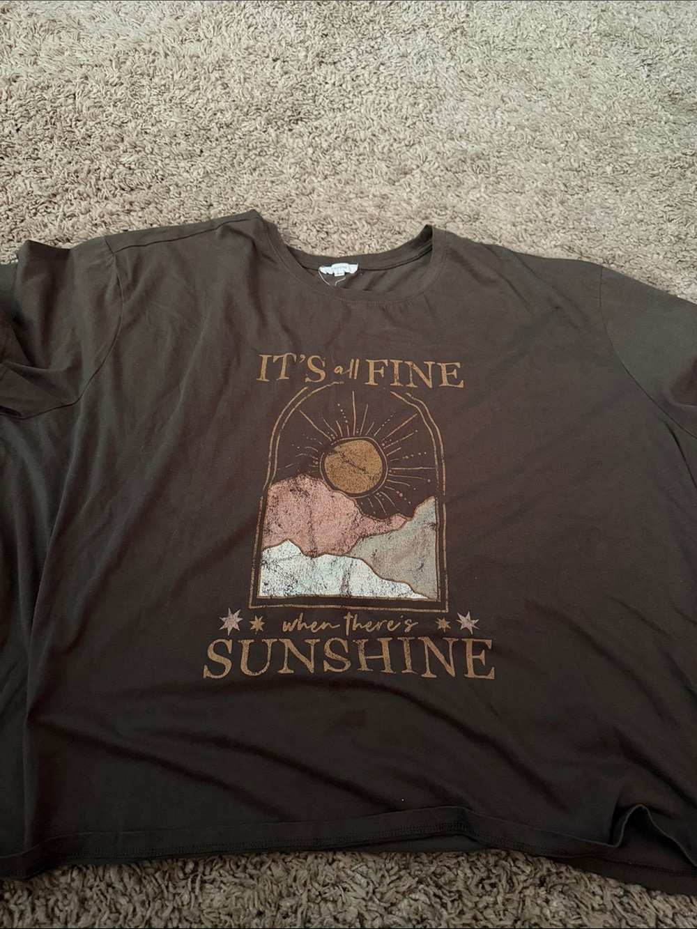 Brown Graphic Tee "It's All Fine" with Sunshine Design